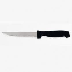 Steakový nůž s rukojetí z polykarbonátu