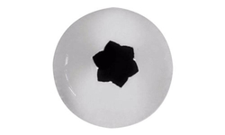 ŠPIČKA NEREZOVÁ - KYTIČKA 6 KS, průměr 1,8 cm