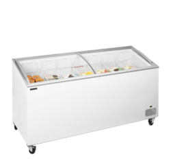 TEFCOLD IC 551 SCEB