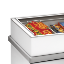 Tefcold SS F250