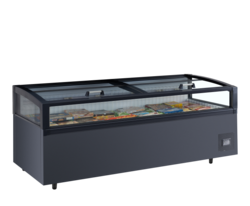 TEFCOLD VIEW 250 CF VS