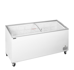 TEFCOLD IC 551 SCEB