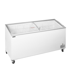 TEFCOLD IC 551 SCEB